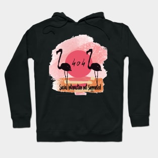 Social interaction not supported, flamingo and quote Hoodie